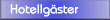 Web-Gster och kunder